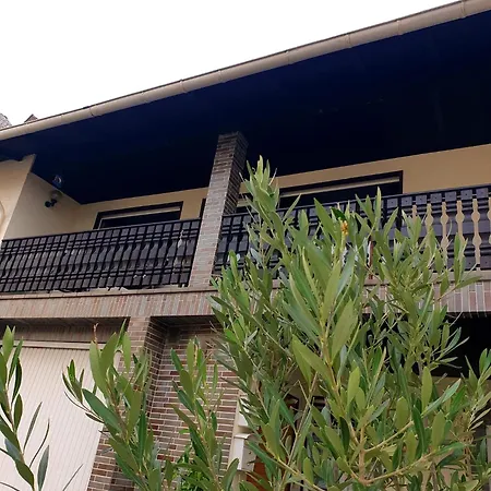 Am Halfterweg Hirschberg (Rhein-Lahn)