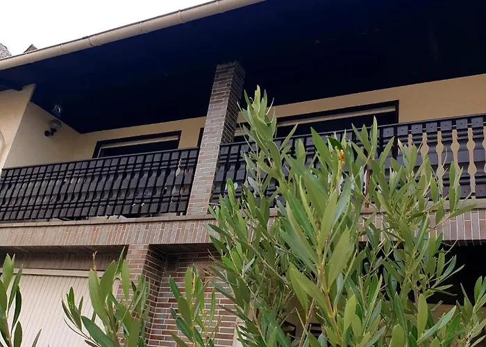 Am Halfterweg Hirschberg (Rhein-Lahn)